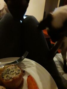 Pic cats hanging over my knees trying to attack my dinner