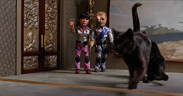 Black house 'panther attacking puppet characters in the movie, Team America,