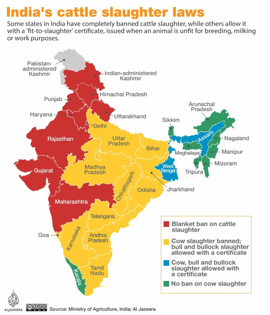 Image of India broken down by the states which ban beef, and those that do not