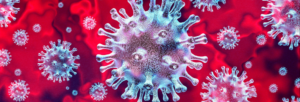 Read more about the article Ode to the coronavirus